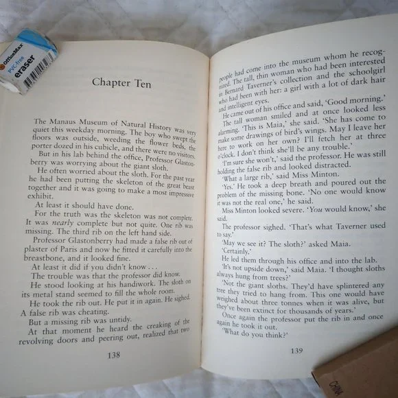 Journey to the River Sea - 10th Anniversary Edition By Eva Ibbotson - Picture 4 of 4